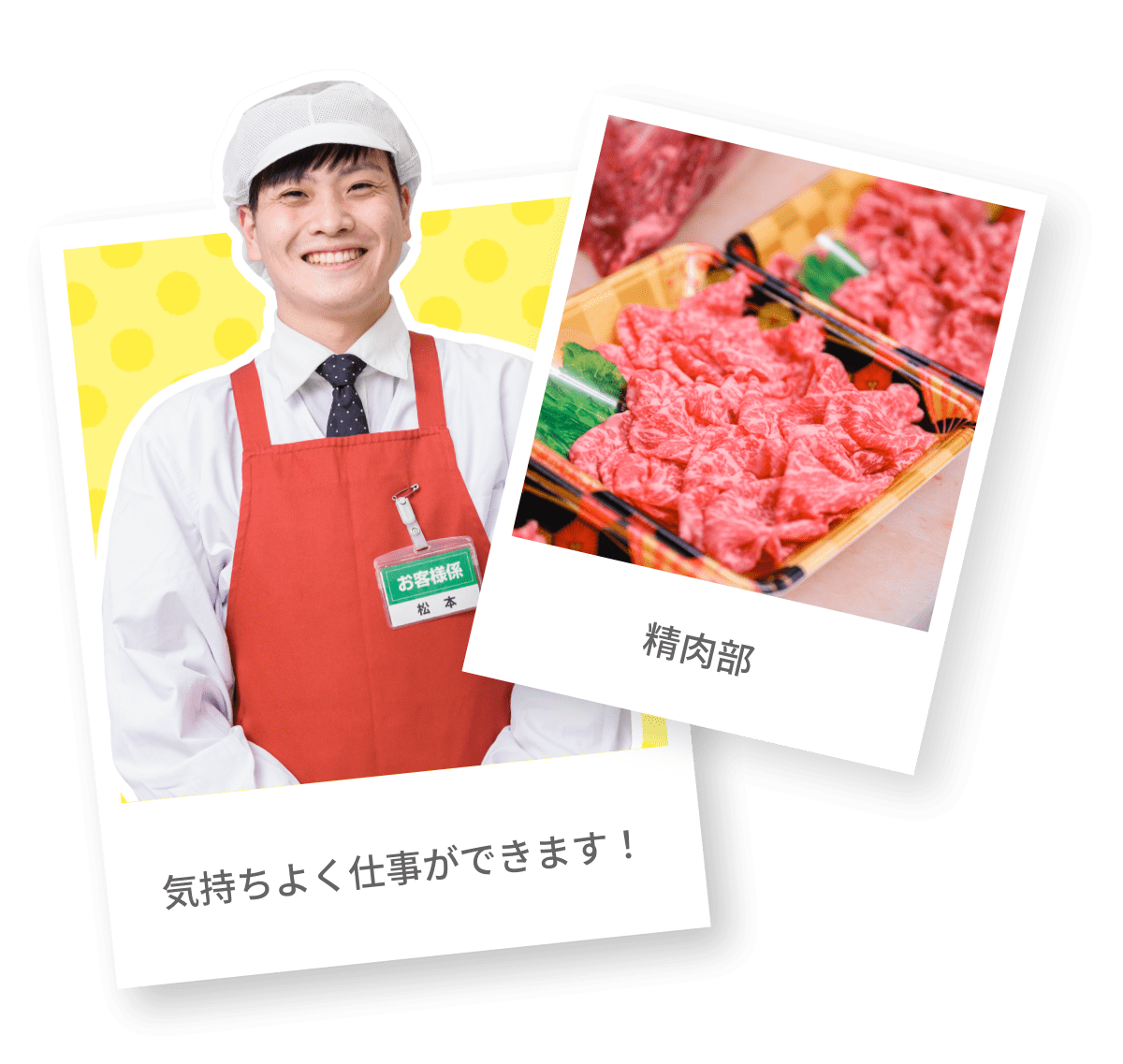 社員紹介 松本