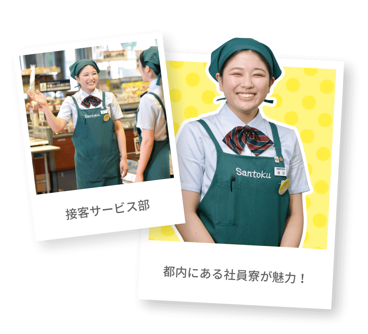 社員紹介 増田